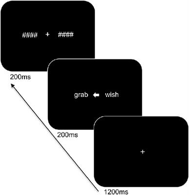 Individual Differences and Hemispheric Asymmetries for Language and Spatial Attention